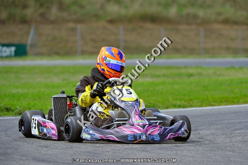 DSC_ (519).jpg